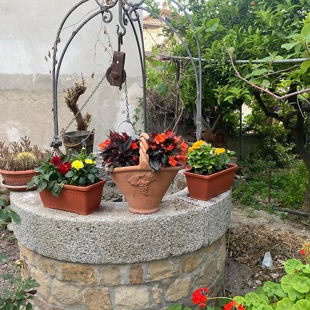 La Grecita E Il Mare Villa Bova Marina Exteriör bild