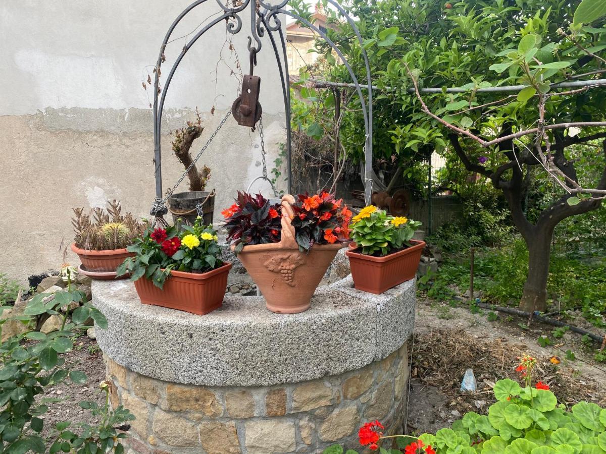 La Grecita E Il Mare Villa Bova Marina Exteriör bild