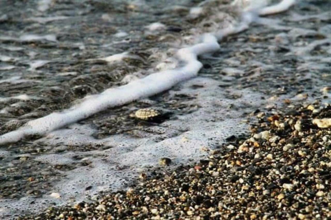 La Grecita E Il Mare Villa Bova Marina Exteriör bild
